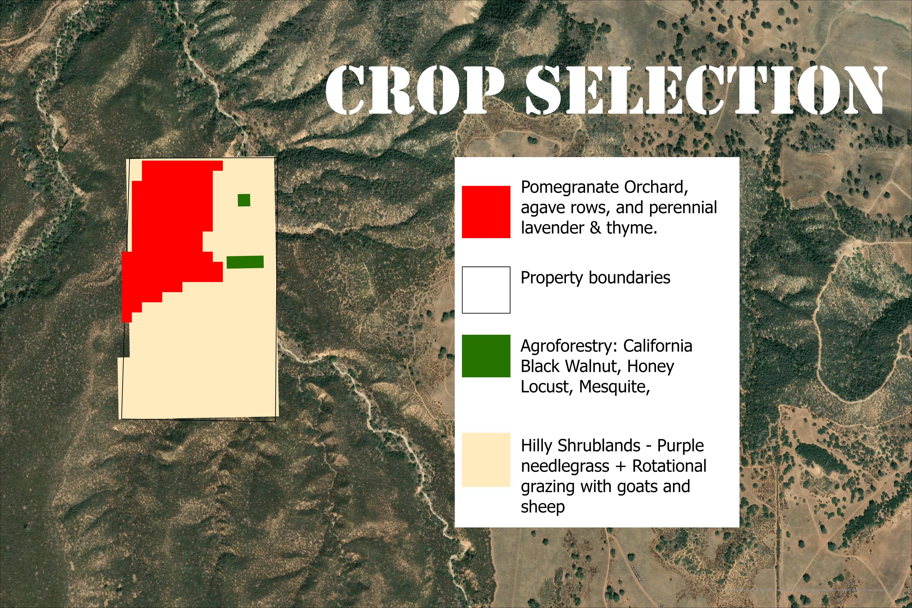 Crop Selection